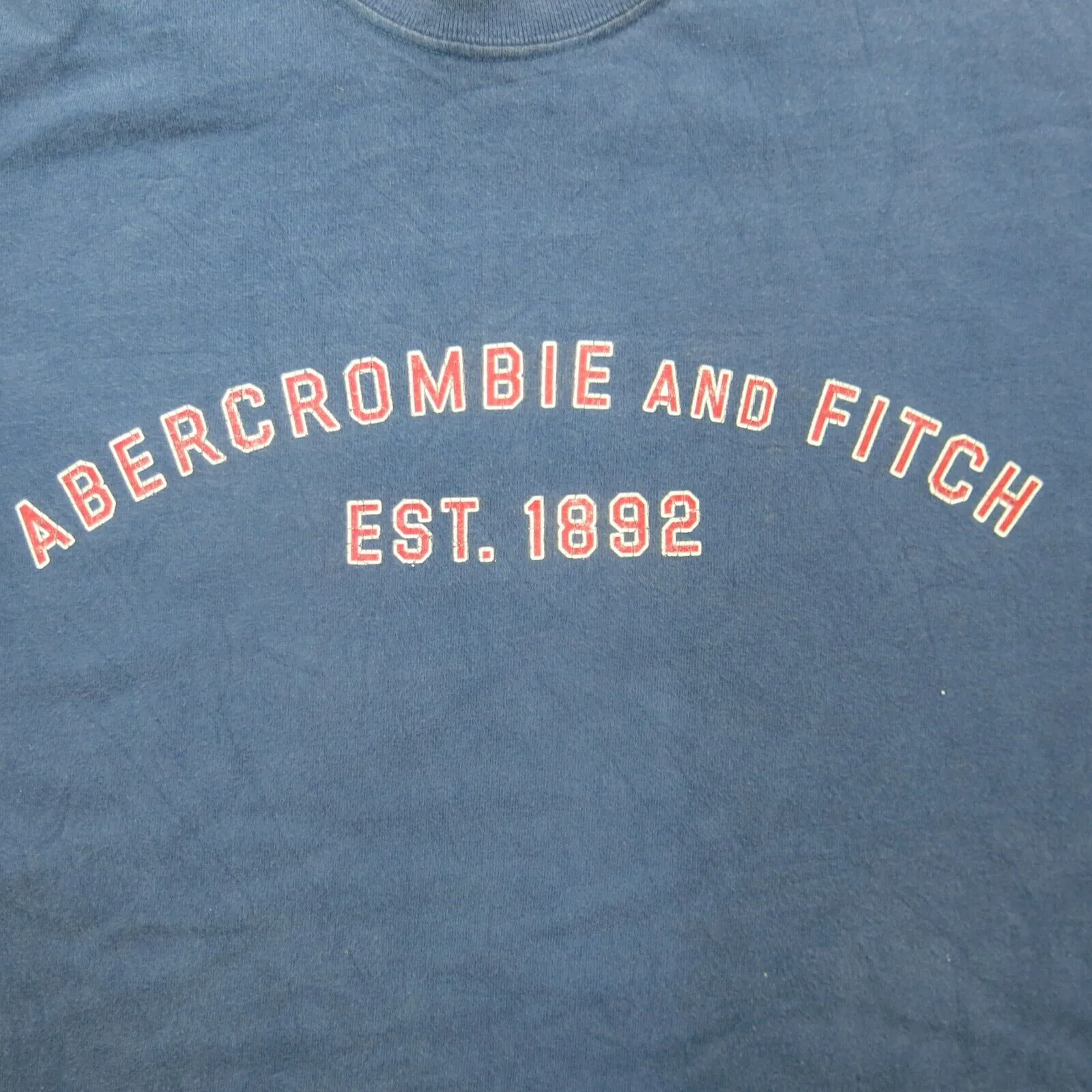 Abercrombie & Fitch Mens Pullover Sweatshirt 100% Cotton Long Sleeve Blue Size M