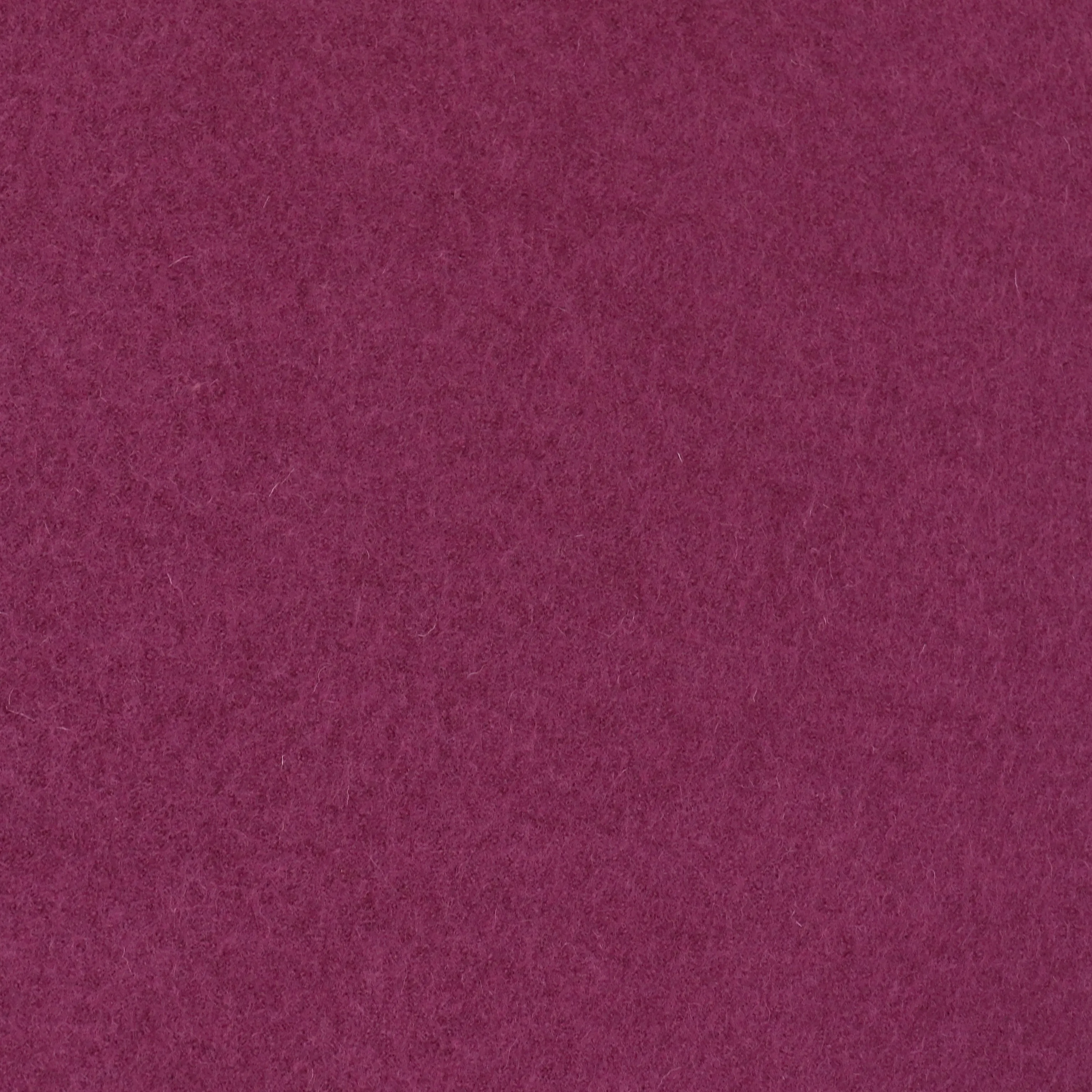 Boiled Wool Coating - Pink