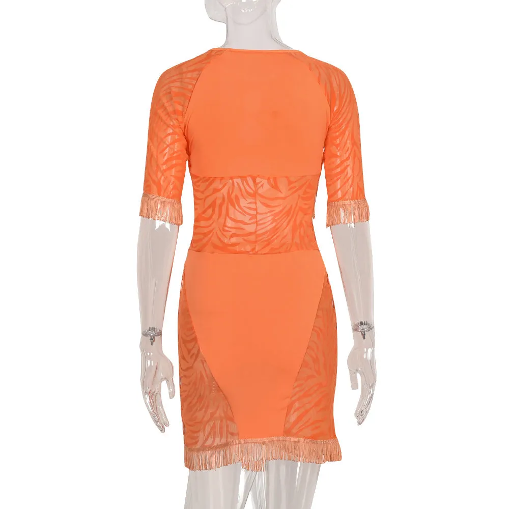 Cut Out Zebra Mesh Transparent Mini Beach Holiday Party Club Bodycon Pencil Dress