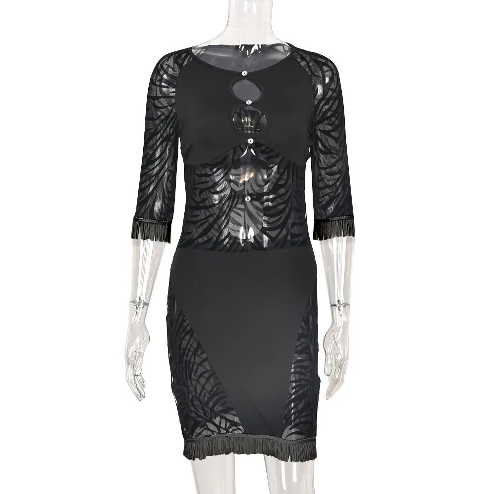 Cut Out Zebra Mesh Transparent Mini Beach Holiday Party Club Bodycon Pencil Dress