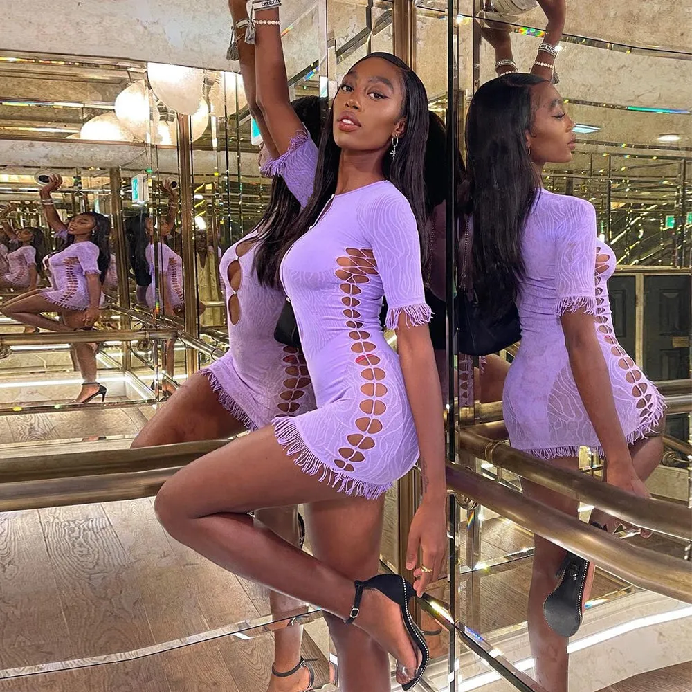Cut Out Zebra Mesh Transparent Mini Beach Holiday Party Club Bodycon Pencil Dress