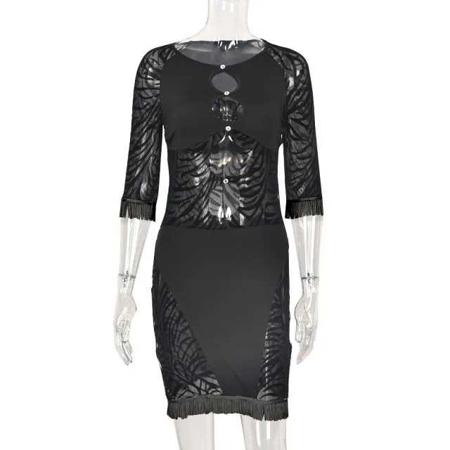 Cut Out Zebra Mesh Transparent Mini Beach Holiday Party Club Bodycon Pencil Dress