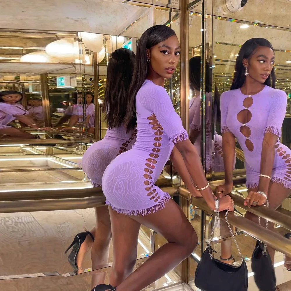 Cut Out Zebra Mesh Transparent Mini Beach Holiday Party Club Bodycon Pencil Dress