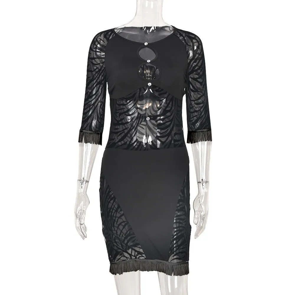 Cut Out Zebra Mesh Transparent Mini Dress Beach Holiday Party Club Prom Night Bodycon Pencil Dress
