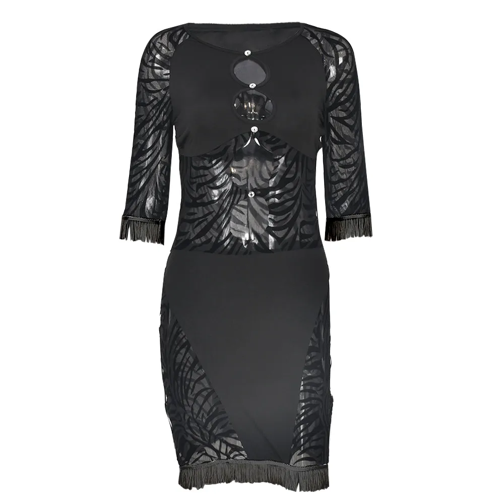 Cut Out Zebra Mesh Transparent Mini Dress Beach Holiday Party Club Prom Night Bodycon Pencil Dress