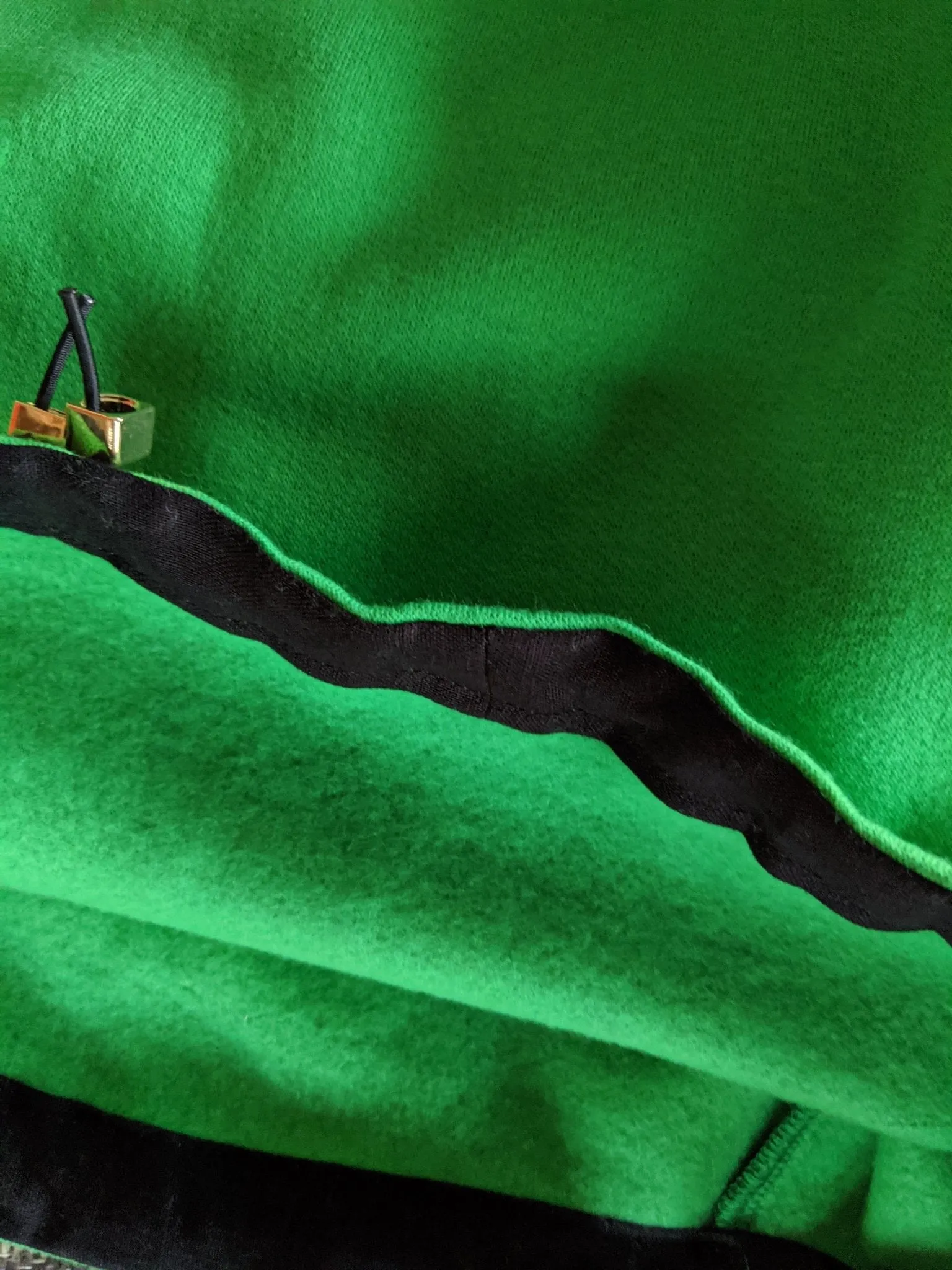 FIERCE PRIDE CROPPED HOODIE GREEN