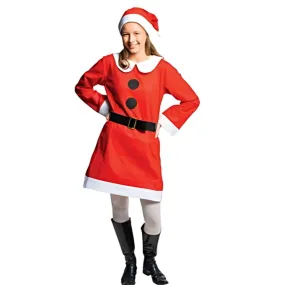 Mrs Claus Ladies Costume - Funkiwi